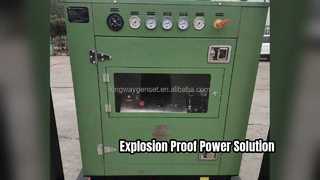 ATEX Zone Explosion Proof Diesel Generator