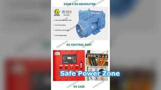 Explosion Proof Diesel Generator 00kva ATEX Zone 