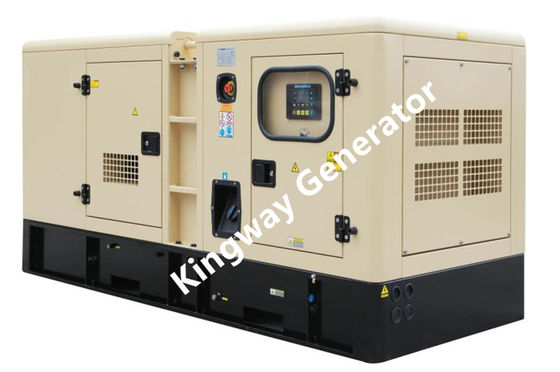 20KW 25KVA Silent Dual Fuel Diesel And Biogas Generator Set  Engine