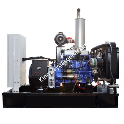20KW 25KVA Silent Dual Fuel Diesel And Biogas Generator Set  Engine